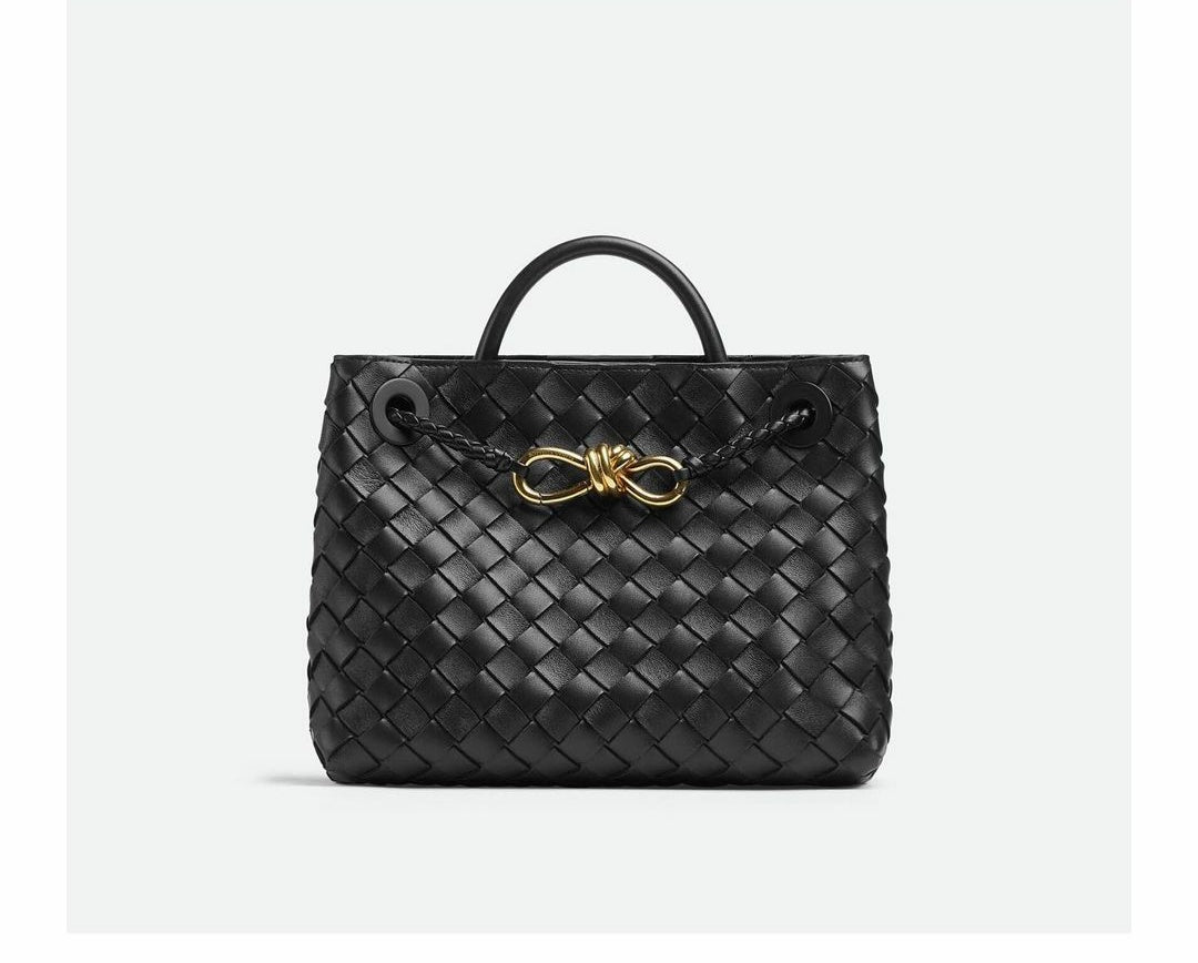 BOTTEGA VENETA SMALL ANDIANO