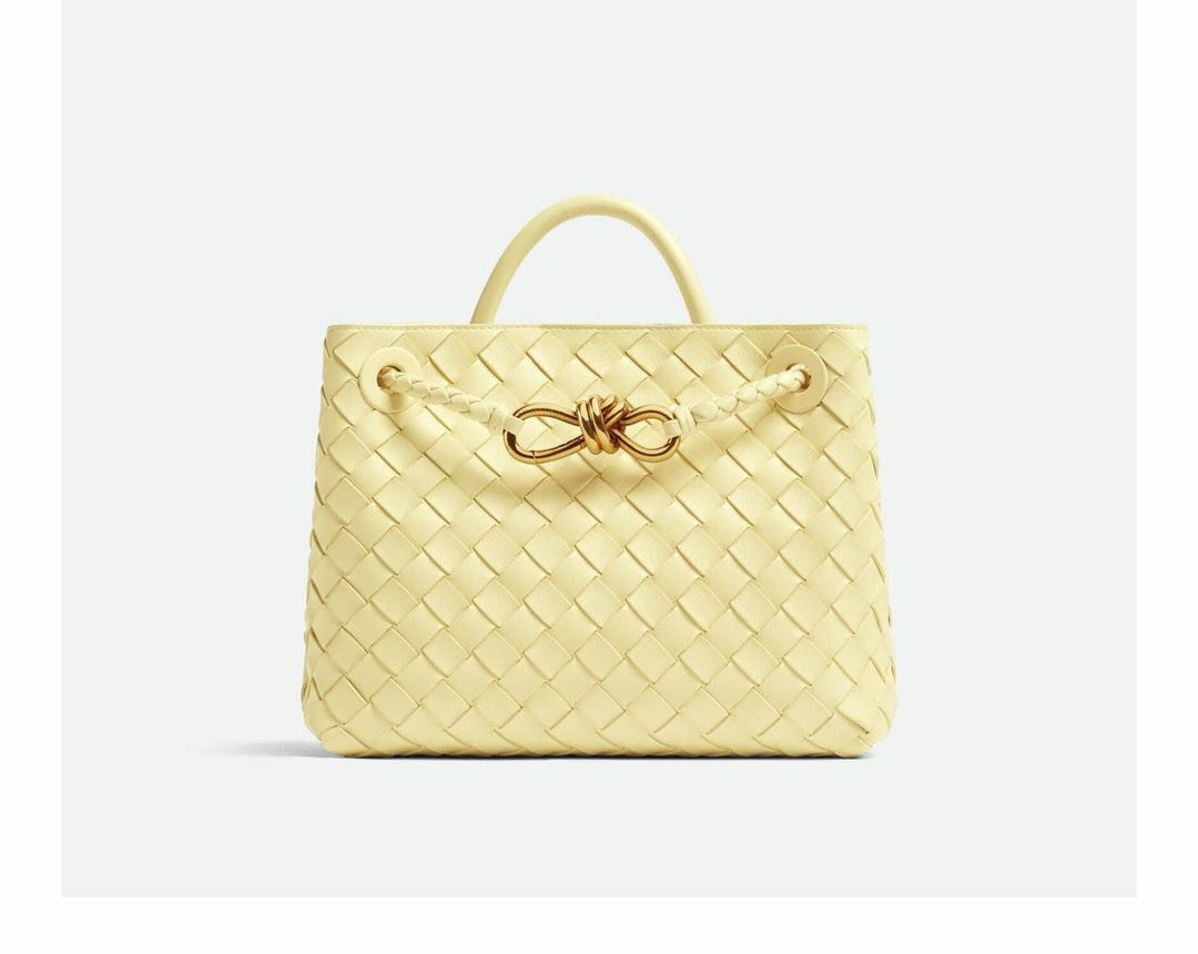 BOTTEGA VENETA SMALL ANDIANO