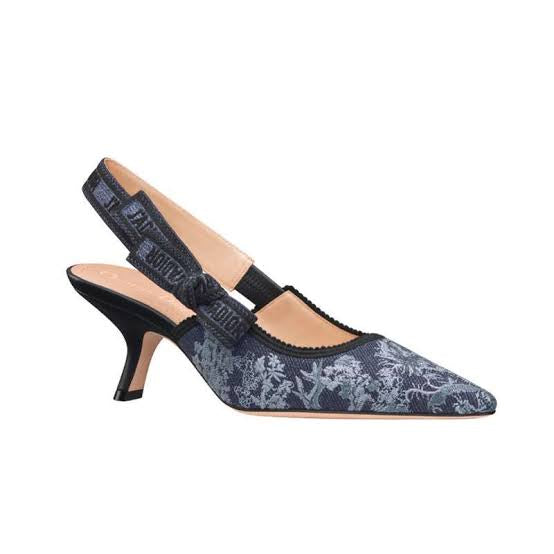 DIOR slingback pump blue embroidered denim with Toile De Jouy